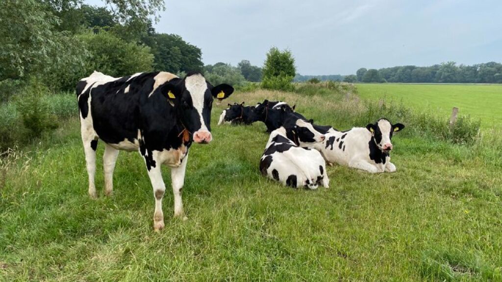 ‘Herinrichting’ Overijssel: "Zonder draagvlak en perspectief is