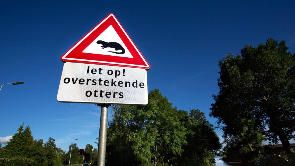 Otterpassages aangelegd bij Wilnis en Waverveen