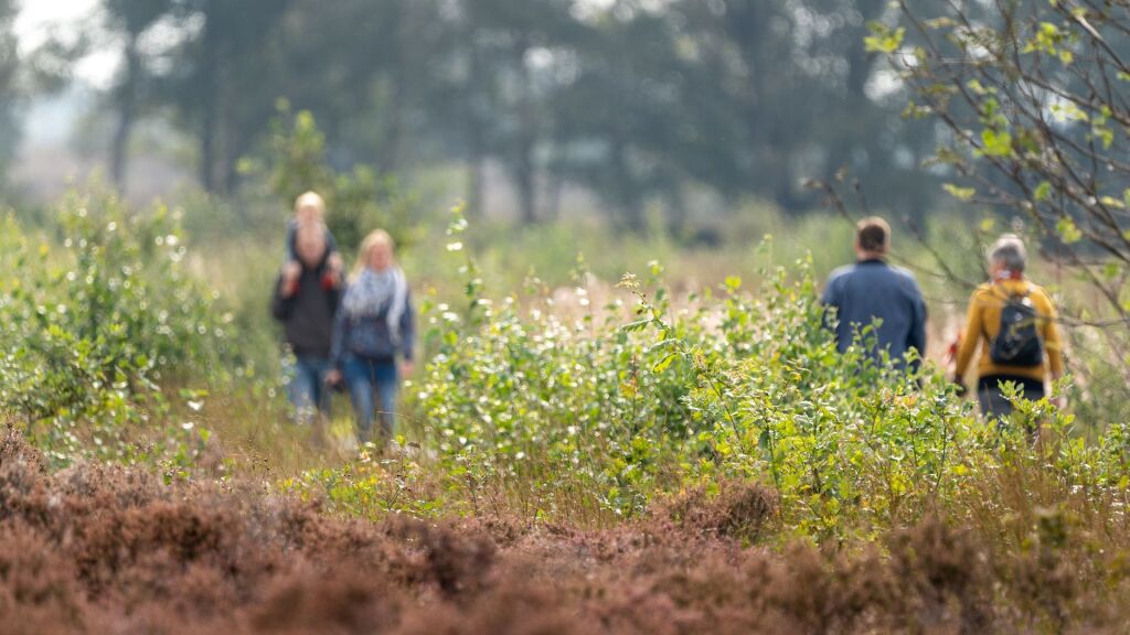 Toeristische sector moet in strijd om de ruimte 'hoog van de toren blazen'