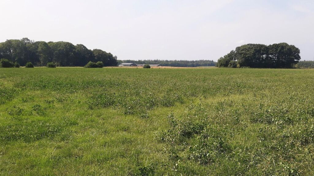 Land van Ons wil Wijnjewoudster land kopen en stikstofuitstoot flink beperken