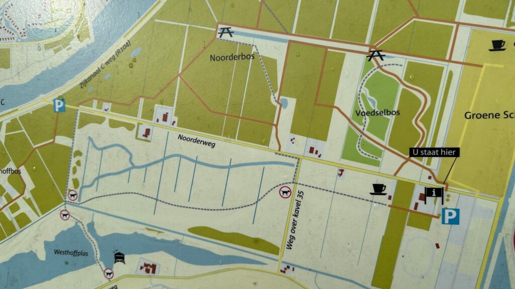 De zee stroomt weer tot in Amsterdam, brakke natuur in de Houtrakkerbeemden