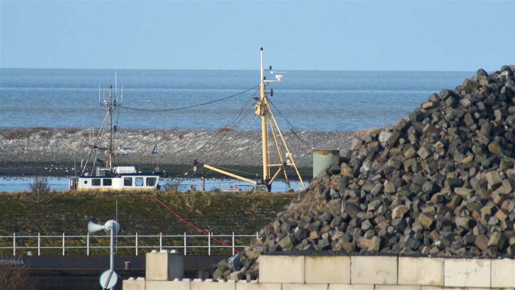 Vissers halen meer dan 20 ton aan 'verboden' vis uit Waddenzee