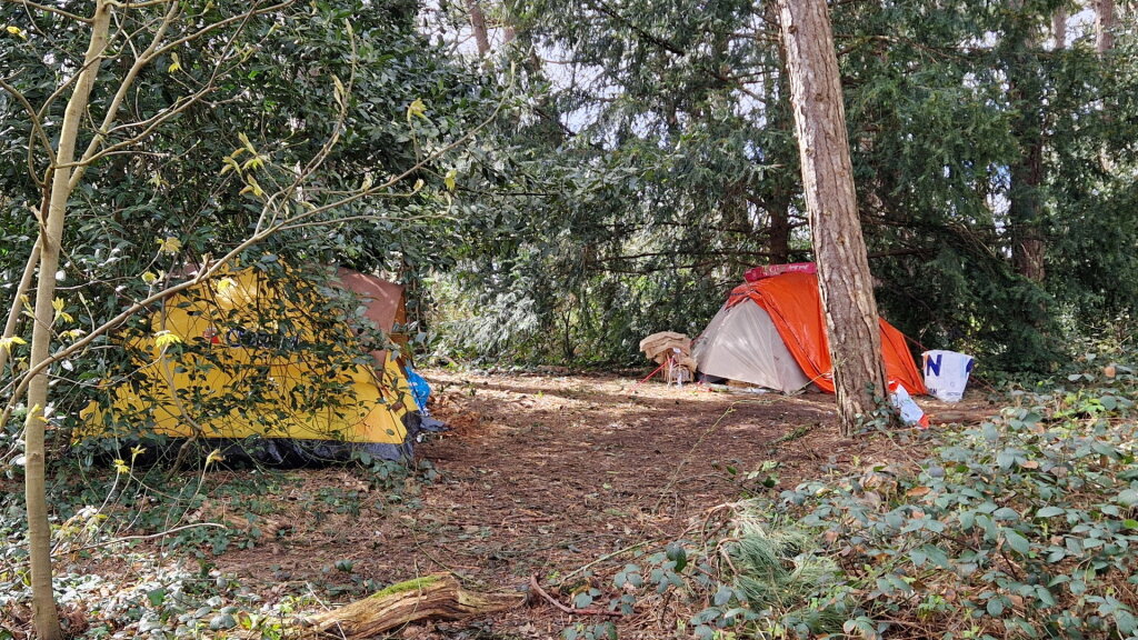 Daklozen in tentjes in het groen: 'Slecht voor buitenslapers, maar ook onveiligheid bij wandelaars'