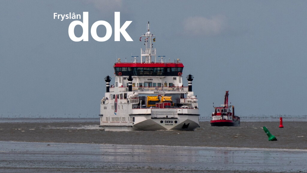 Als de wal het schip keert: wat is de toekomst van het vervoer naar