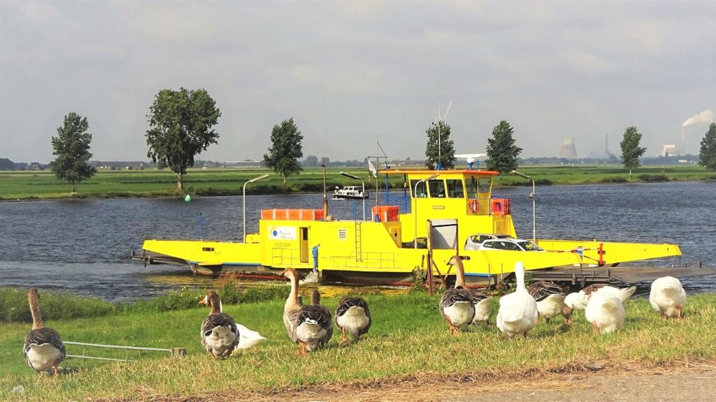 Wie betaalt de veerman? Passagiers van ponten over de Bergsche Maas niet