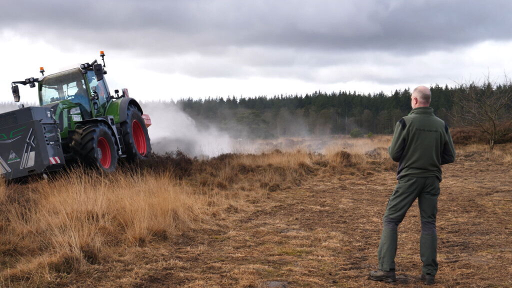 Steenmeel moet de Drentse heide weer doen bloeien