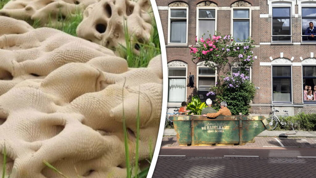 Unieke ideeën worden waarheid in de stad: van vissenhotel tot Charlois Fashion Week