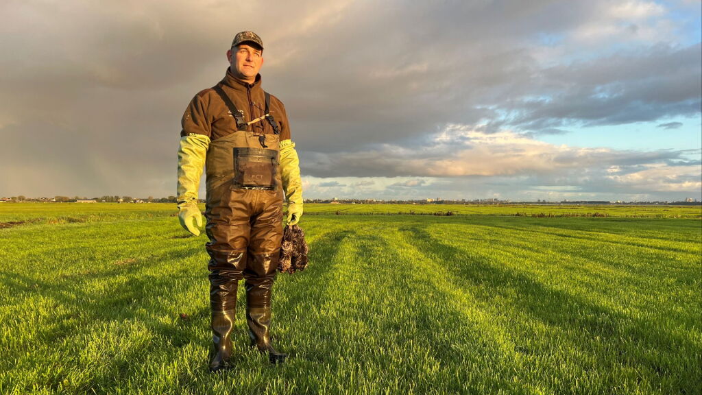 Waterschappen vangen 85.000 muskusratten, fors meer dan in 2024