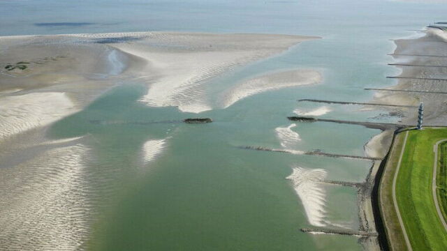 Aangifte tegen bedrijf voor PFAS-lozingen in Westerschelde