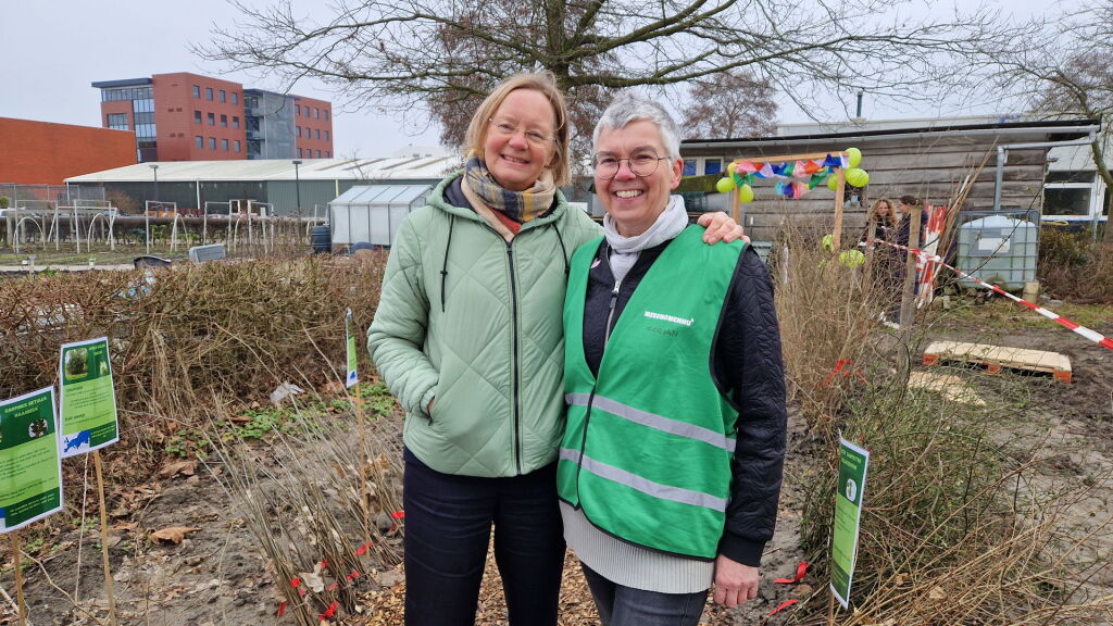 Nieuwe bomenhub in Goes redt jonge bomen van de versnipperaar