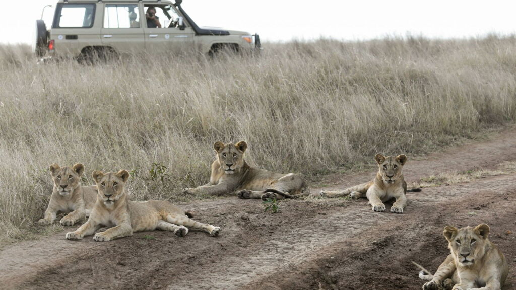 Dierenarts waarschuwt voor keerzijde van wildlife-vakanties