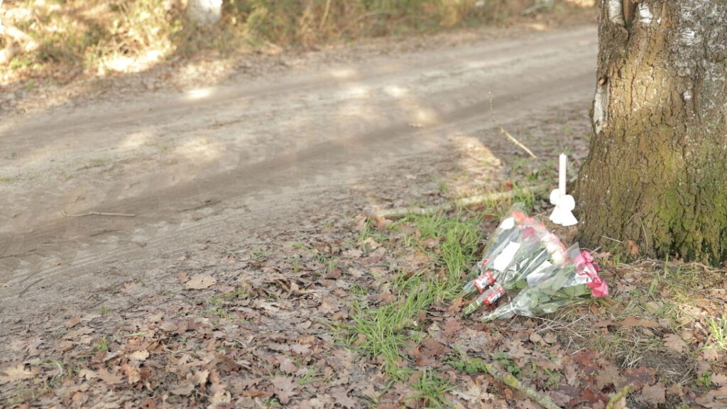 Doodgeschoten hond in Wapse weer opgegraven: 'Forensische opsporingsdienst doet onderzoek'