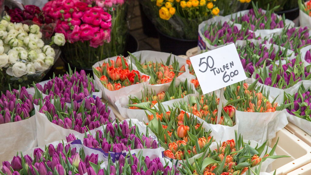 Tulpenzaak verborg illegale handel: eigenaar en poetshulp maanden achter tralies