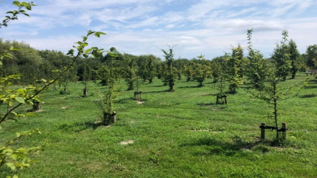 Niemand zit er op te wachten, maar stinkend bedrijf mag na 20 jaar getouwtrek toch van start