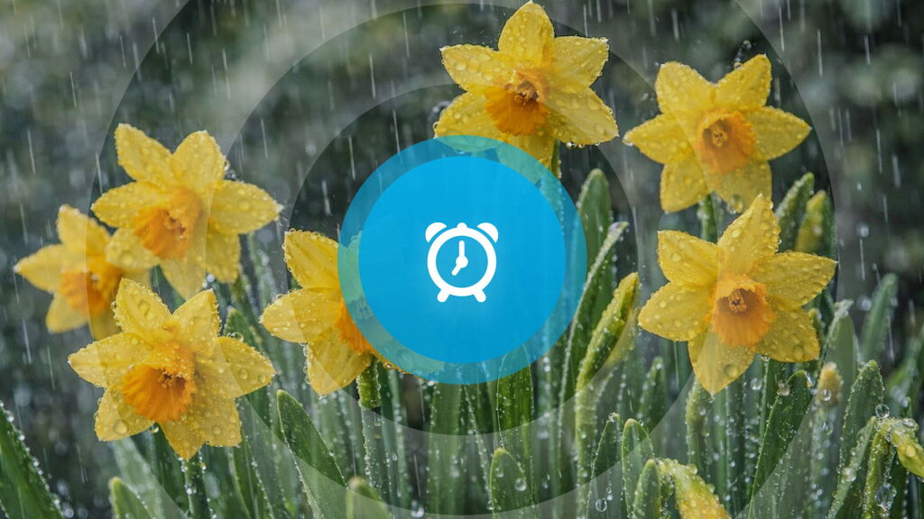 Goedemorgen! Pabo-opleiding in trek, Grote Grillworsttest en meedenken over de Ferry